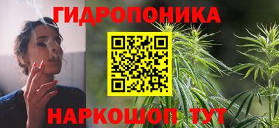 молекула духа Новозыбков
