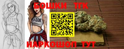 молекула духа Новозыбков