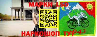 дмт Новодвинск