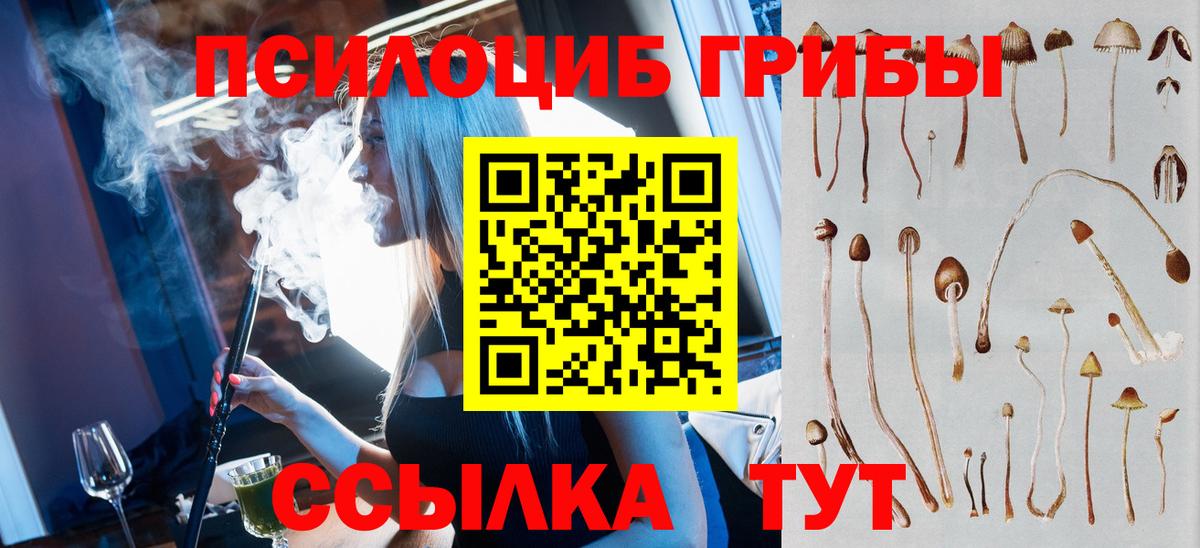 Туапсе  Псилоцибиновые грибы прущие грибы  Вход с VPN  Псилоцибиновые грибы GOLDEN TEACHER 